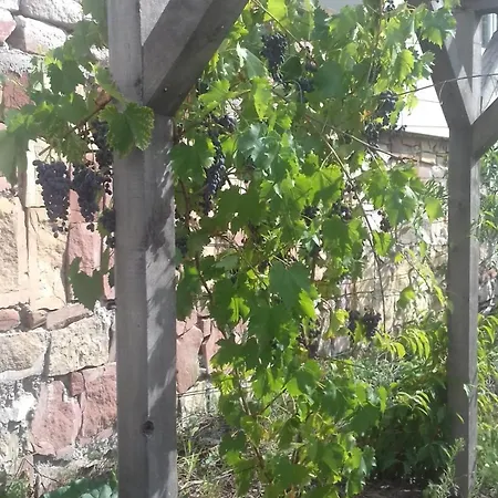 Aux Vignes Wissembourg
