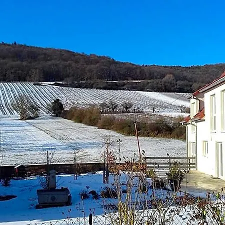 Aux Vignes Виссамбур