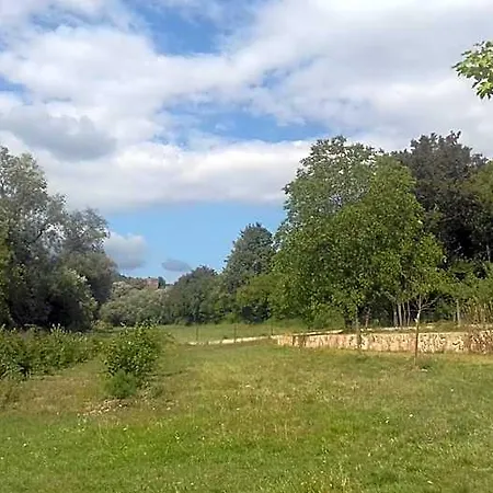 Aux Vignes