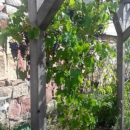 Aux Vignes Отель типа 