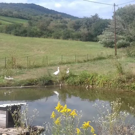 Aux Vignes Wissembourg