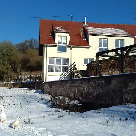 Bed & Breakfast Aux Vignes Wissembourg