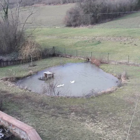 Aux Vignes Bed & Breakfast Wissembourg