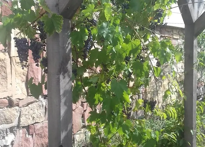 Aux Vignes Wissembourg