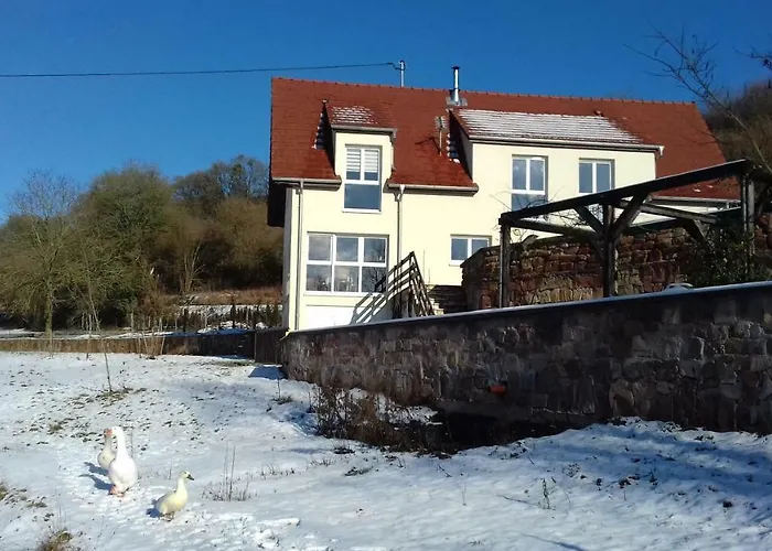 Bed and Breakfast Aux Vignes Wissembourg