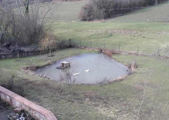 Aux Vignes Bed and Breakfast Wissembourg