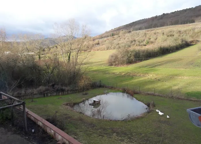 Bed and Breakfast Aux Vignes 3*